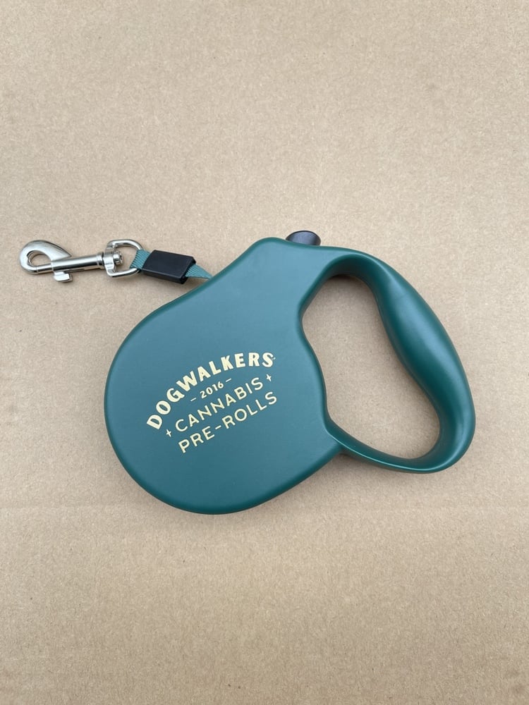 Retractable Dog Leash (Green)
