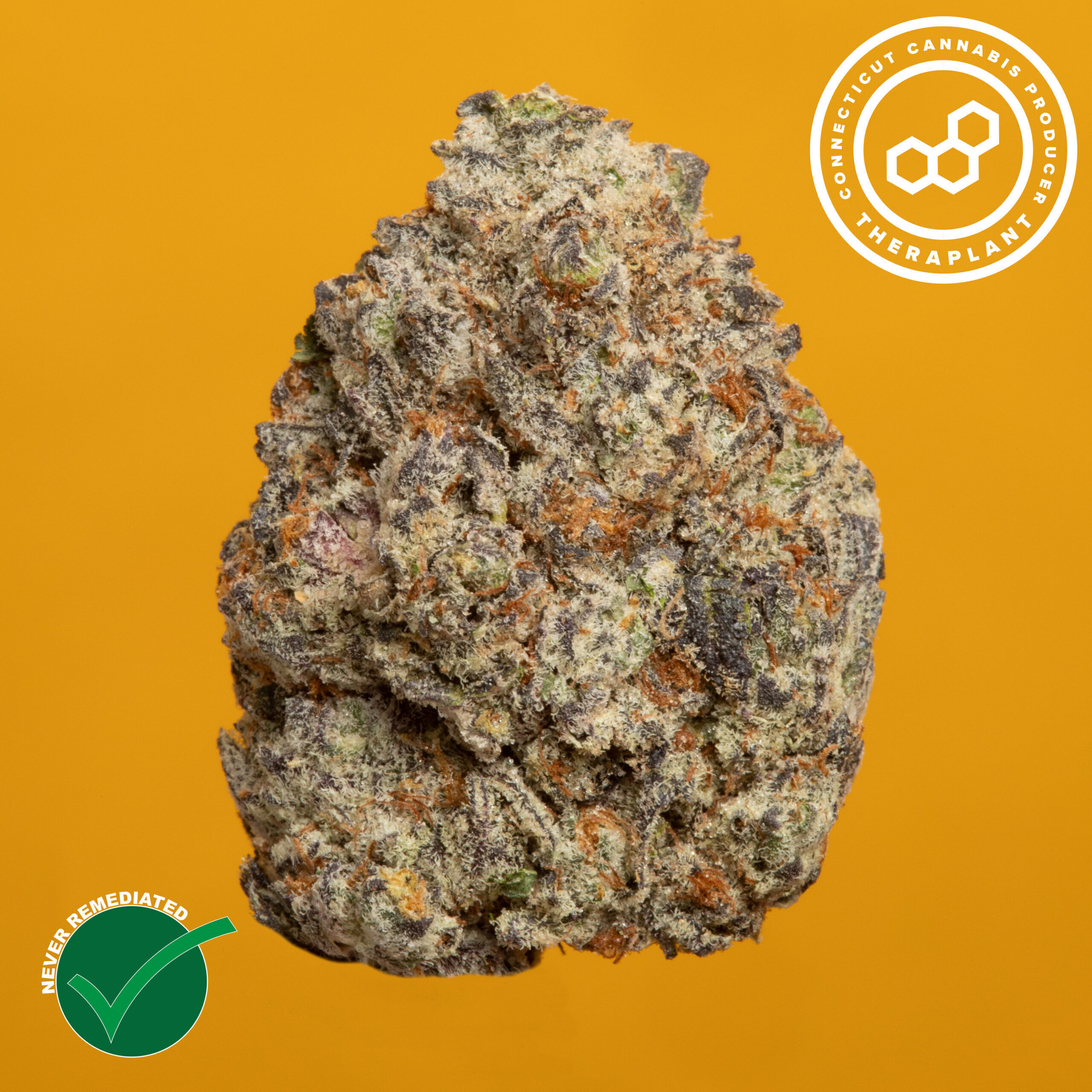 Berry Pi Flower | T16.67 | Terps 0.72 | S | 41420 | 3.5g - 1/8oz in Bridgeport