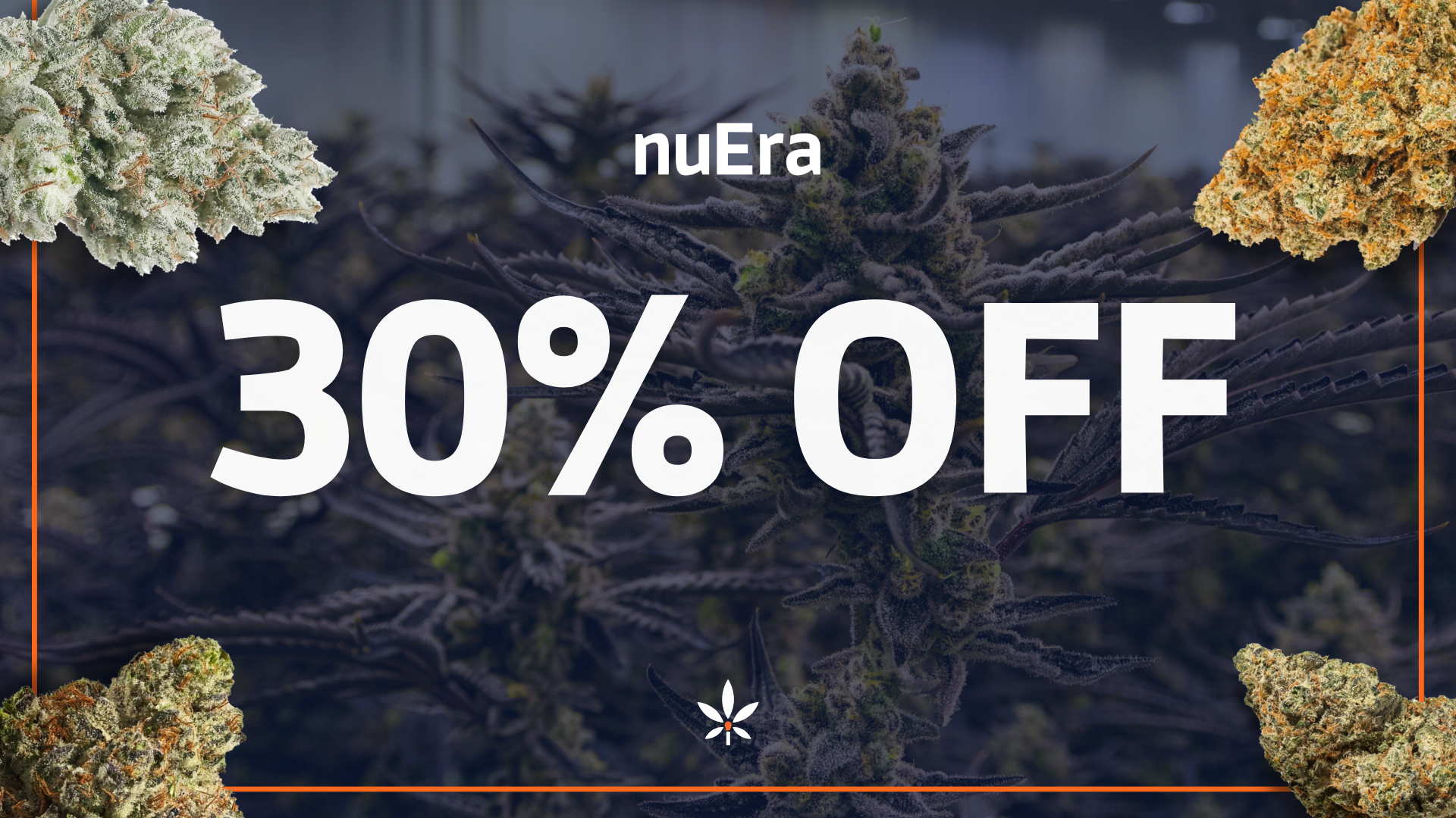 🔥The Great Chicago Fire Deals 30%🔥