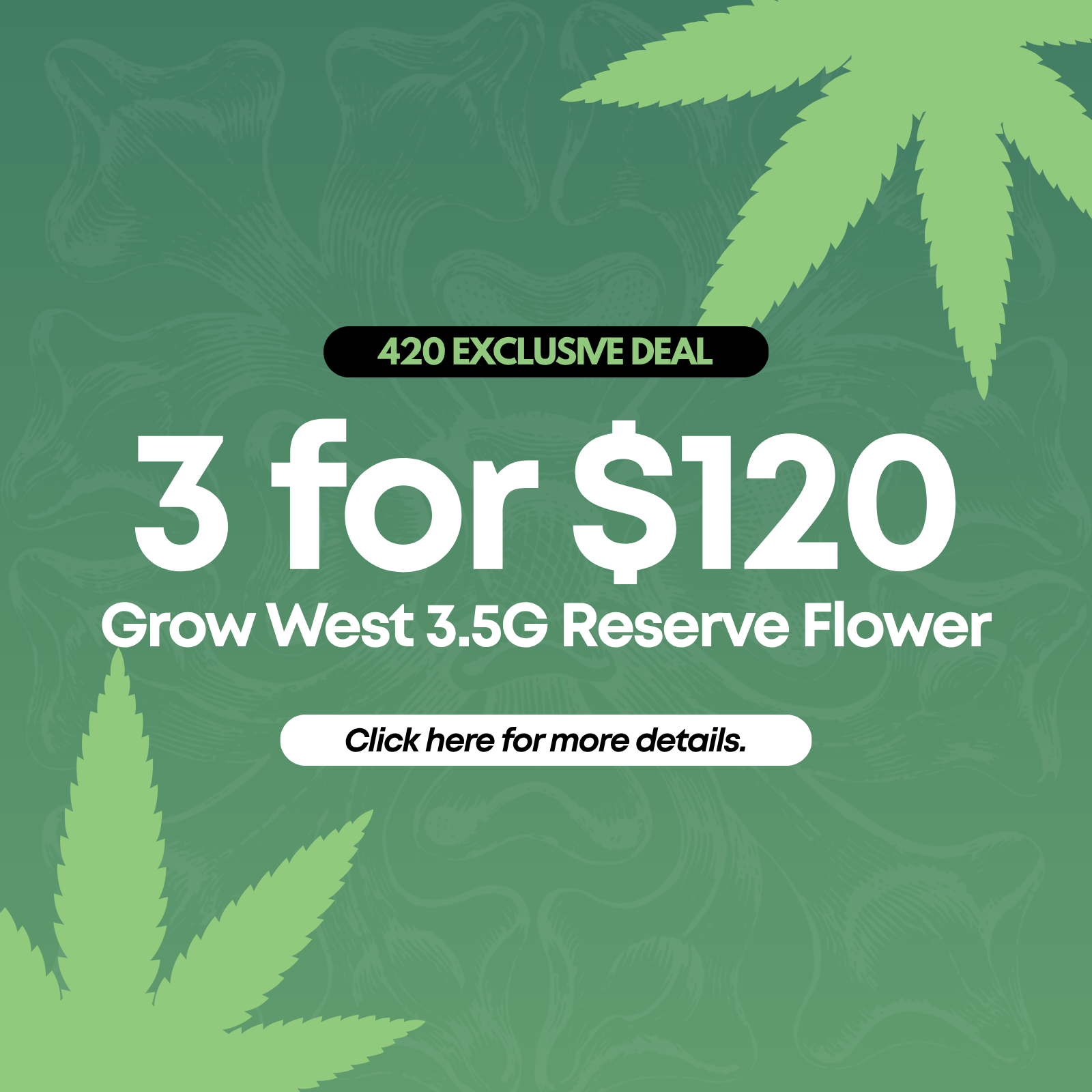 3 for $120 Grow West 3.5G Reserve Flower special