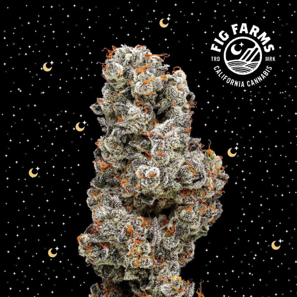 30% off Fig Farms - Daily special