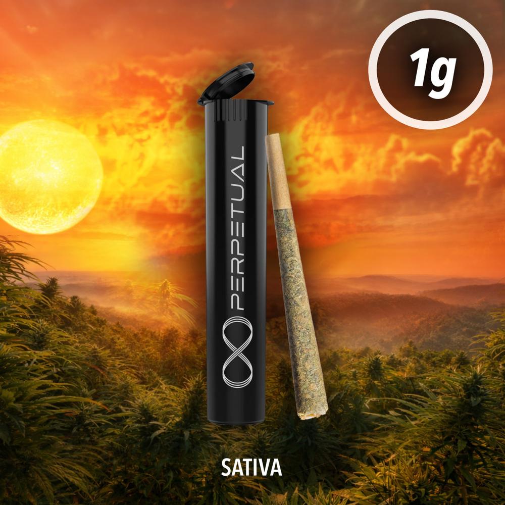 Perpetual - Super Candy Pre-Roll (1g)