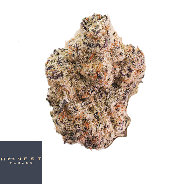 Grape Pie x Slurricane