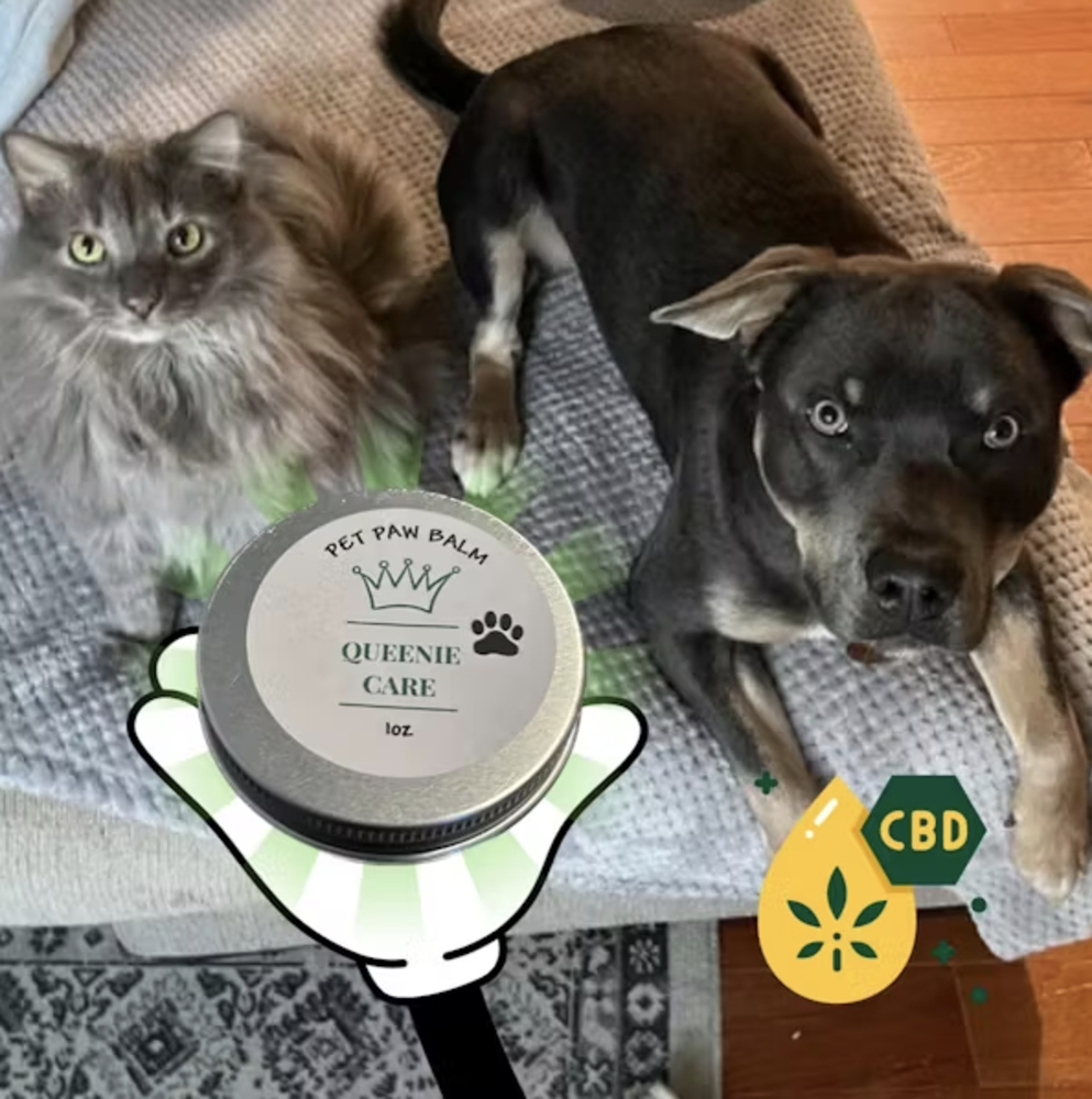 CBD Pet Paw Balm (50mg)