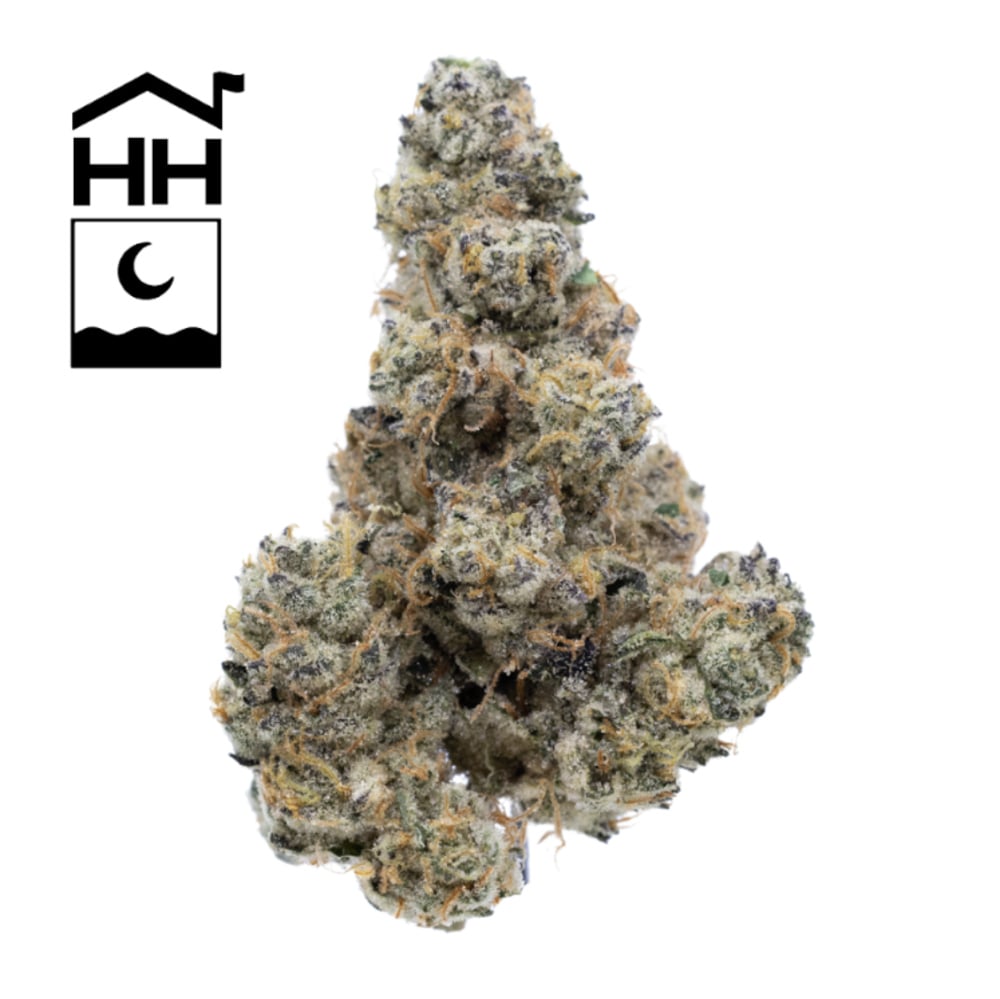 GMO Buds