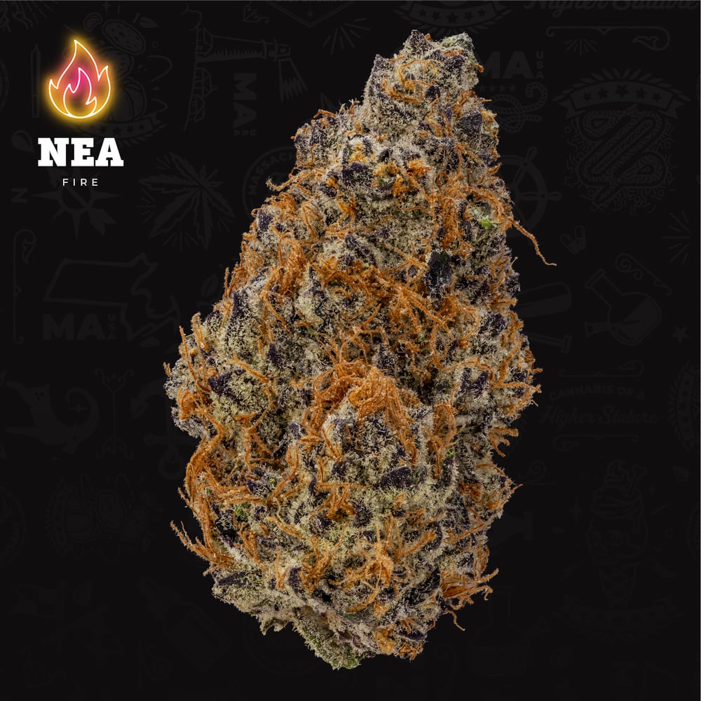 NEA Fire - Garlicane Flower NEA Fire - Garlicane Flower