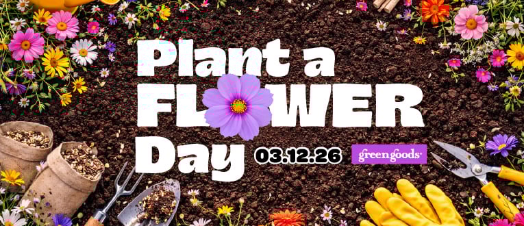 Don't Forget To Grab A Packet Of Wildflower Seeds On Your Way Out Today While Supplies Last!