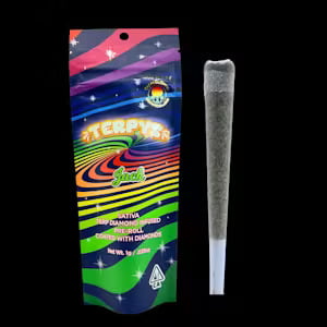 Terpys: Jack [1g]
