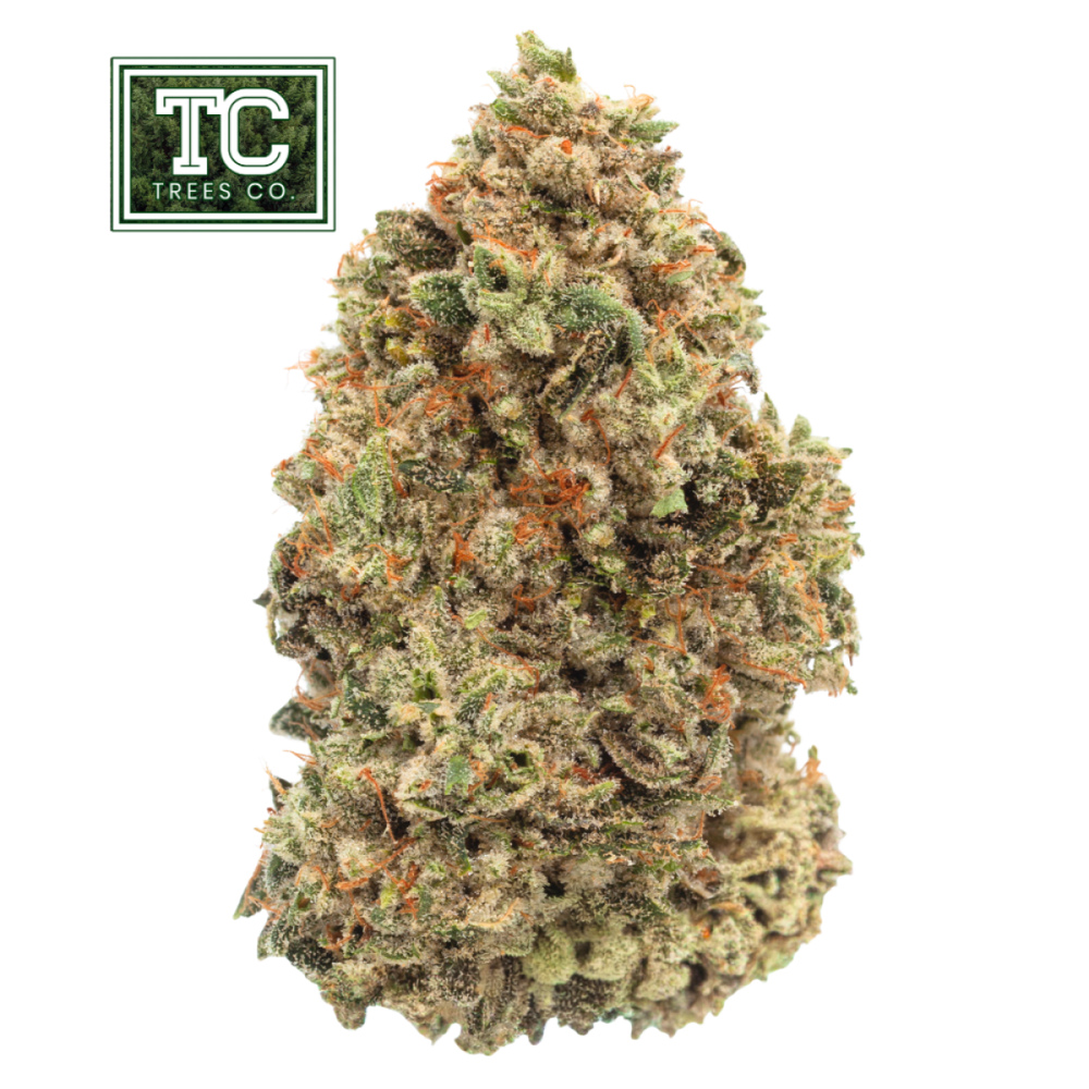 Trees Co. - Dark Matter Flower