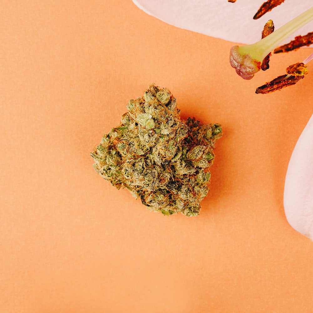 Hawaiian Butterscotch Medizin Jane