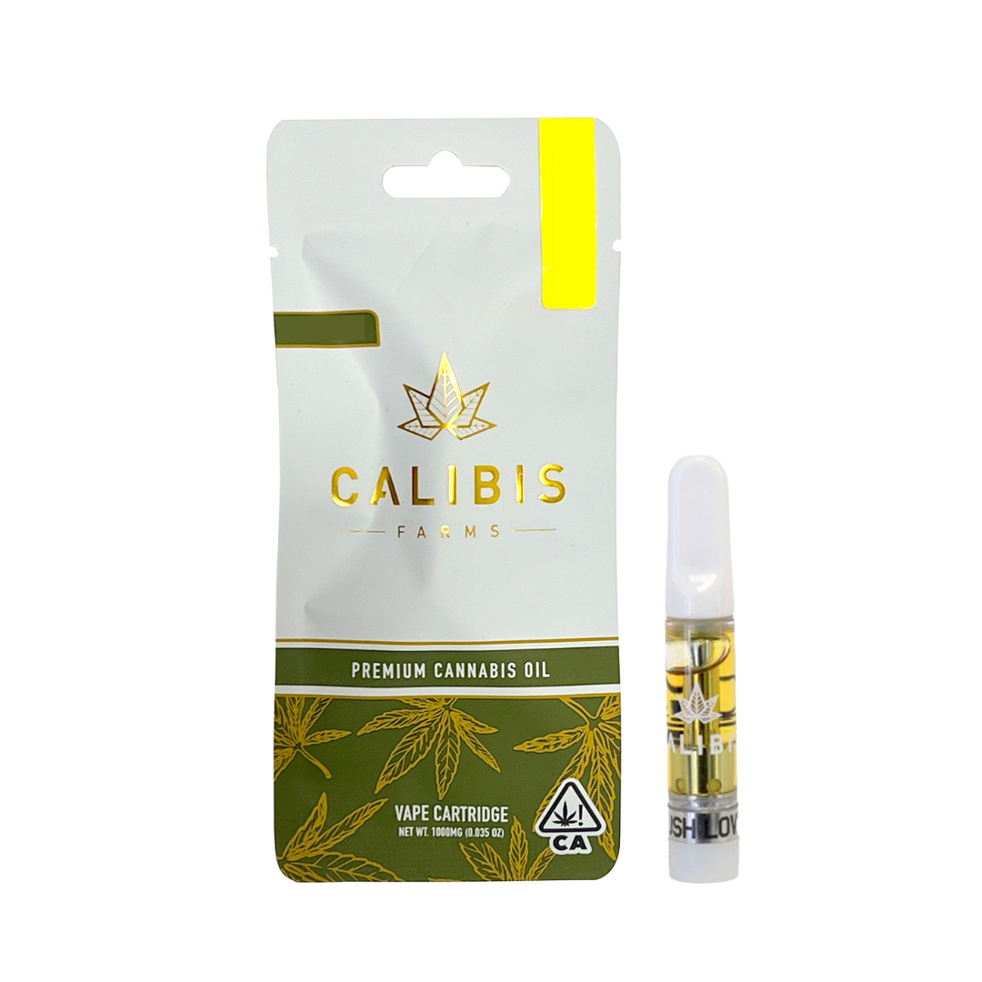Yellow Gum