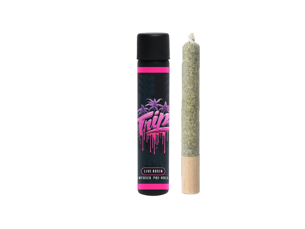 Lemon Cherry Toast x Garlic Breath