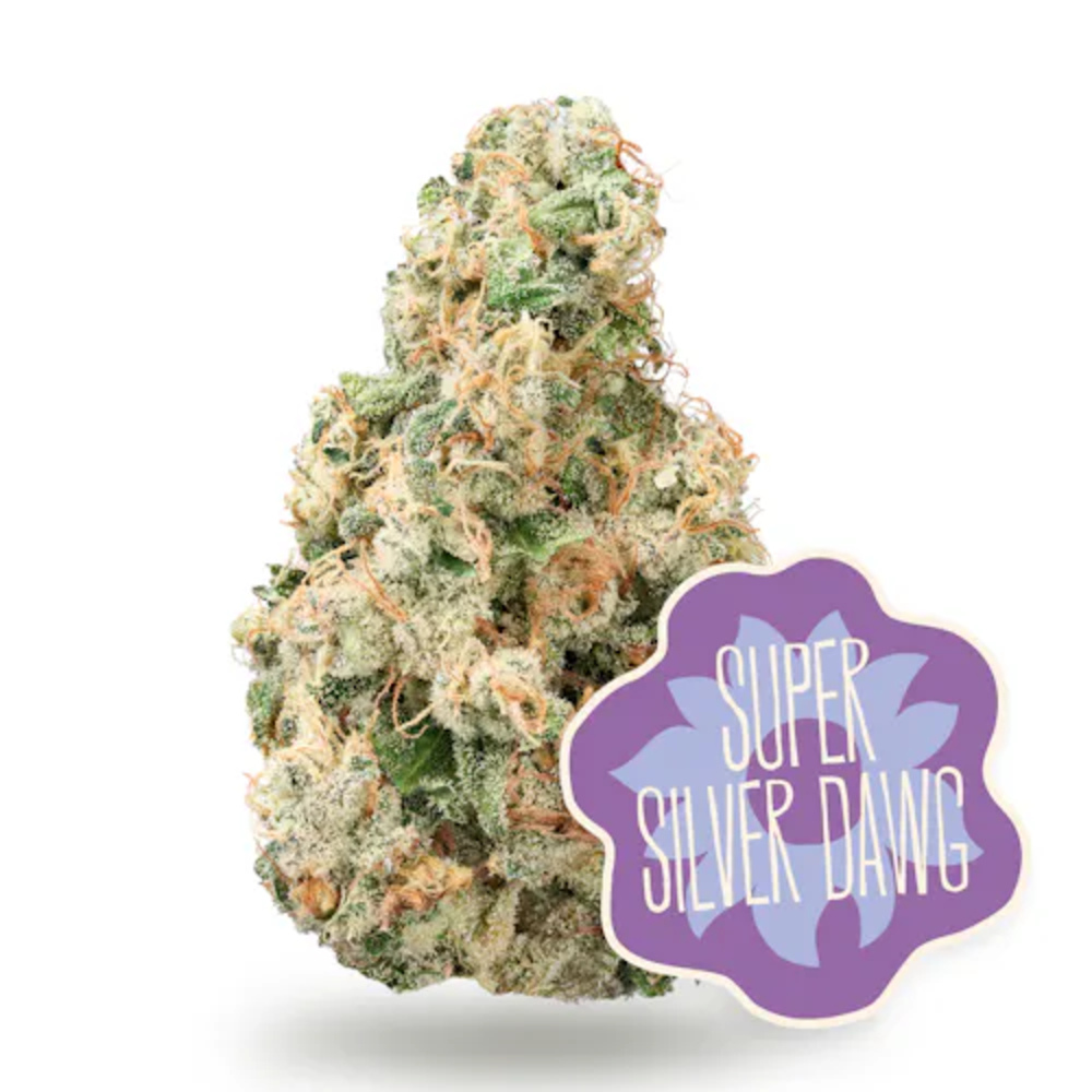Super Silver Dawg