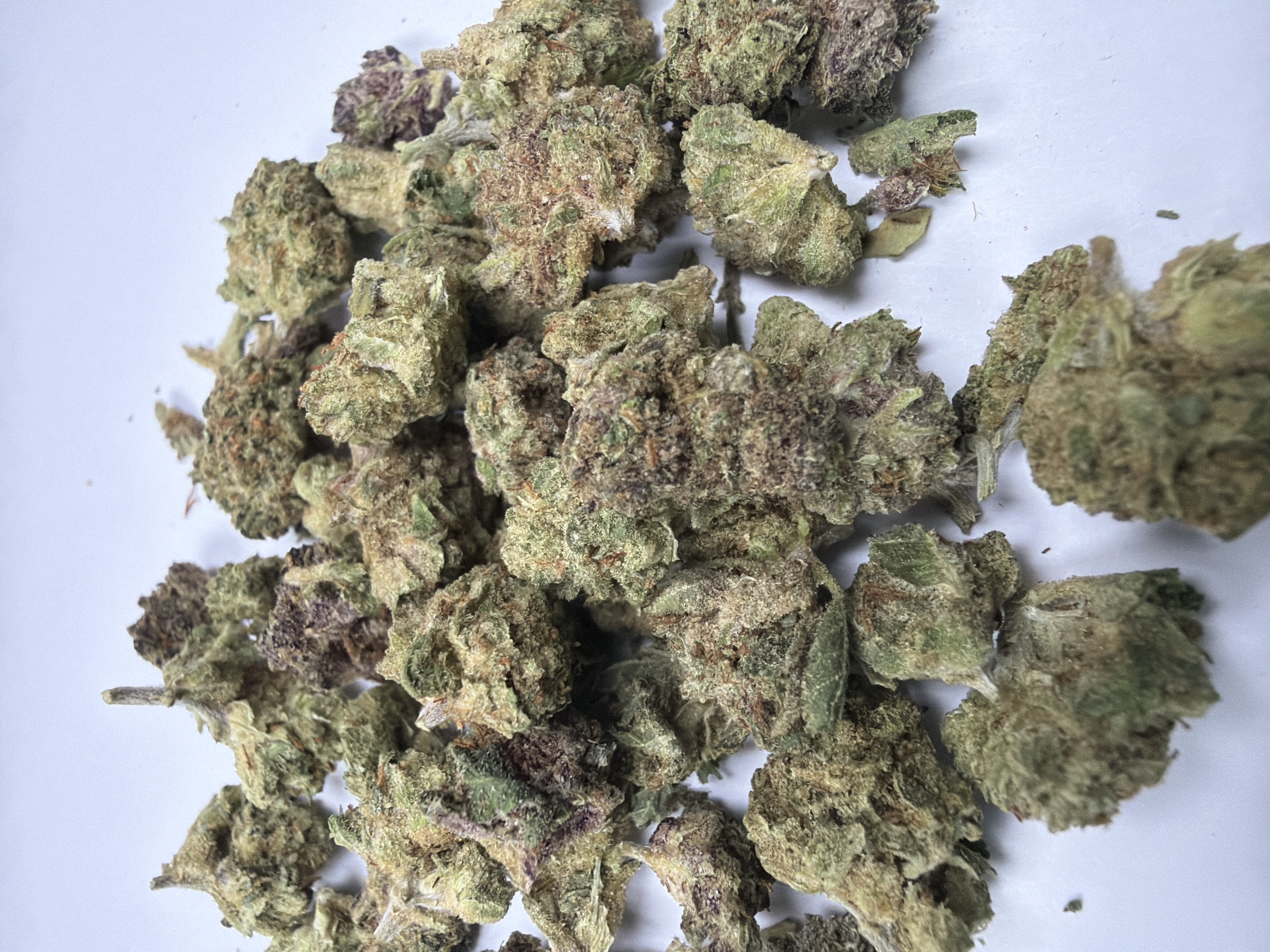 Ice Cream Cake x Gelato 41