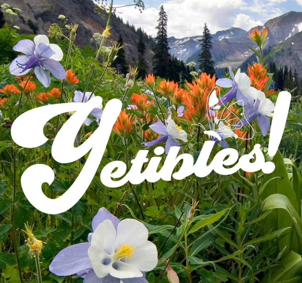 Mountain Melon (100mg)