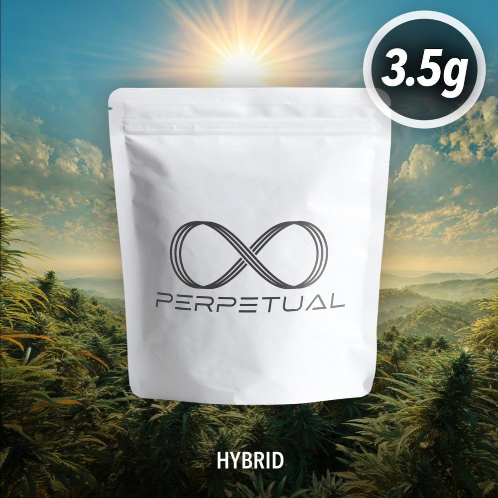 Perpetual - Gello Flower