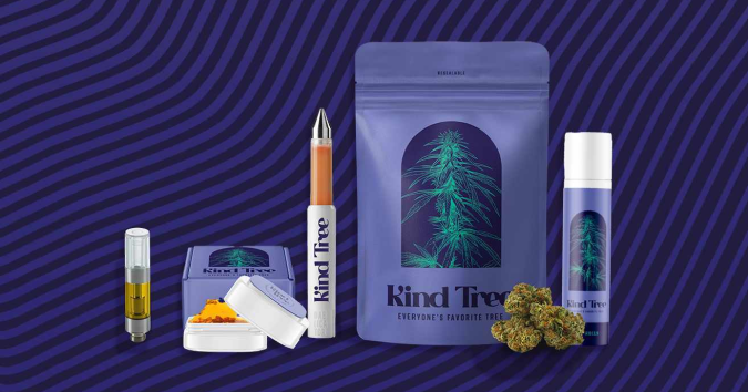 30% Off ALL Kind Tree Products! special photo