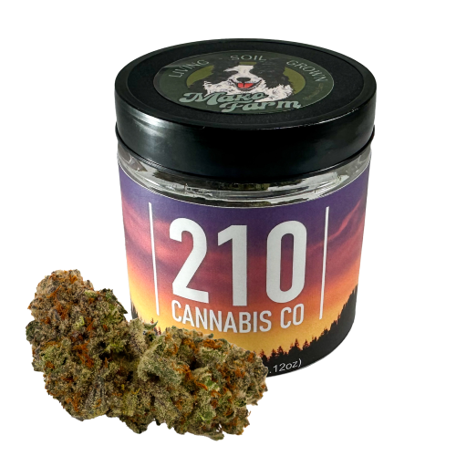 Grape Gas S1