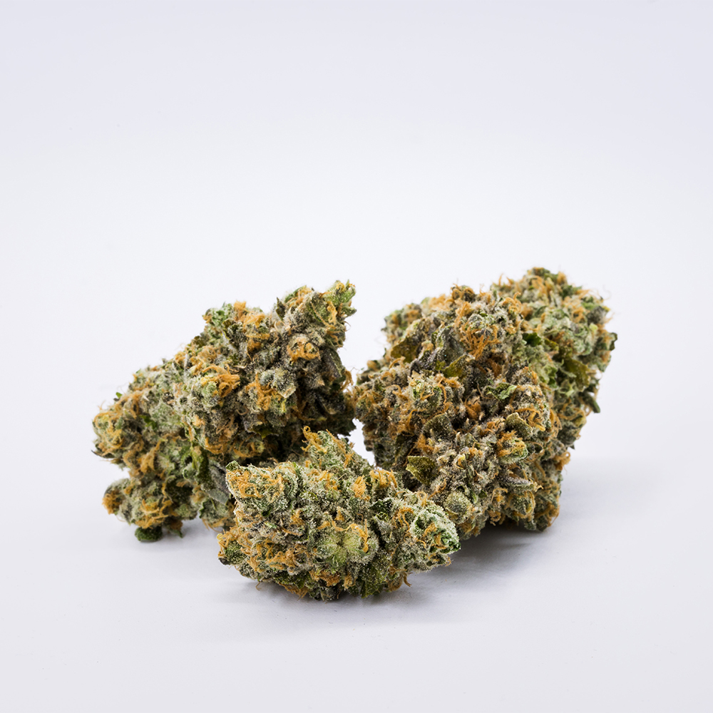 Key Lime Pie Summa Cannabis Jane