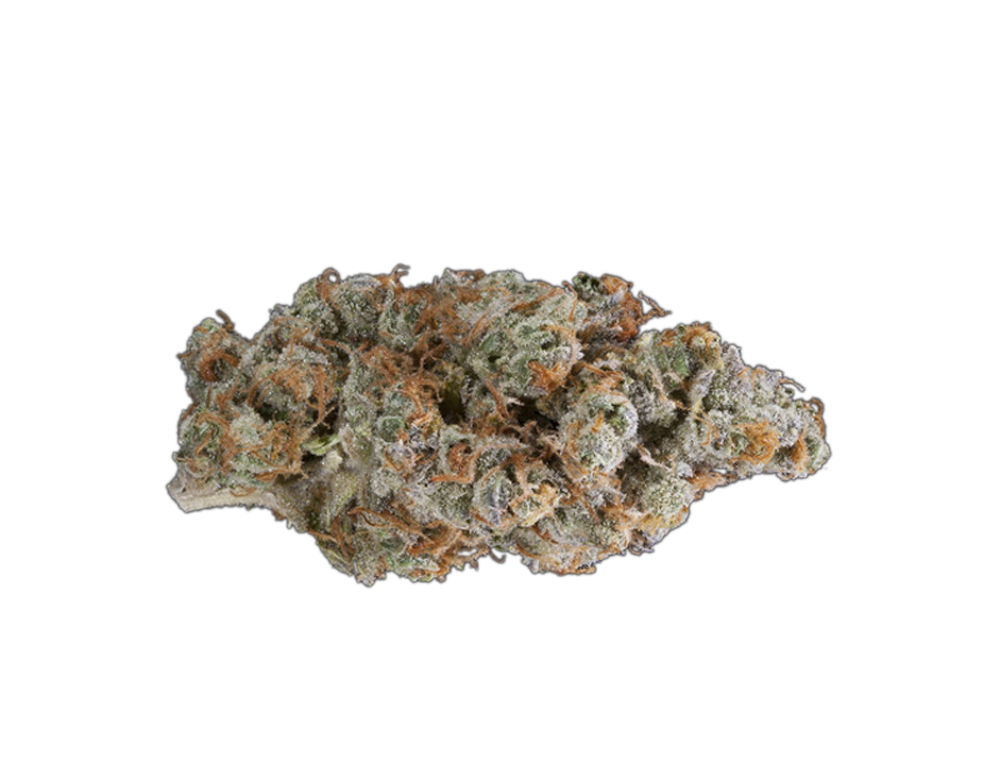 Jesus OG Mount Olympus Gardens Jane