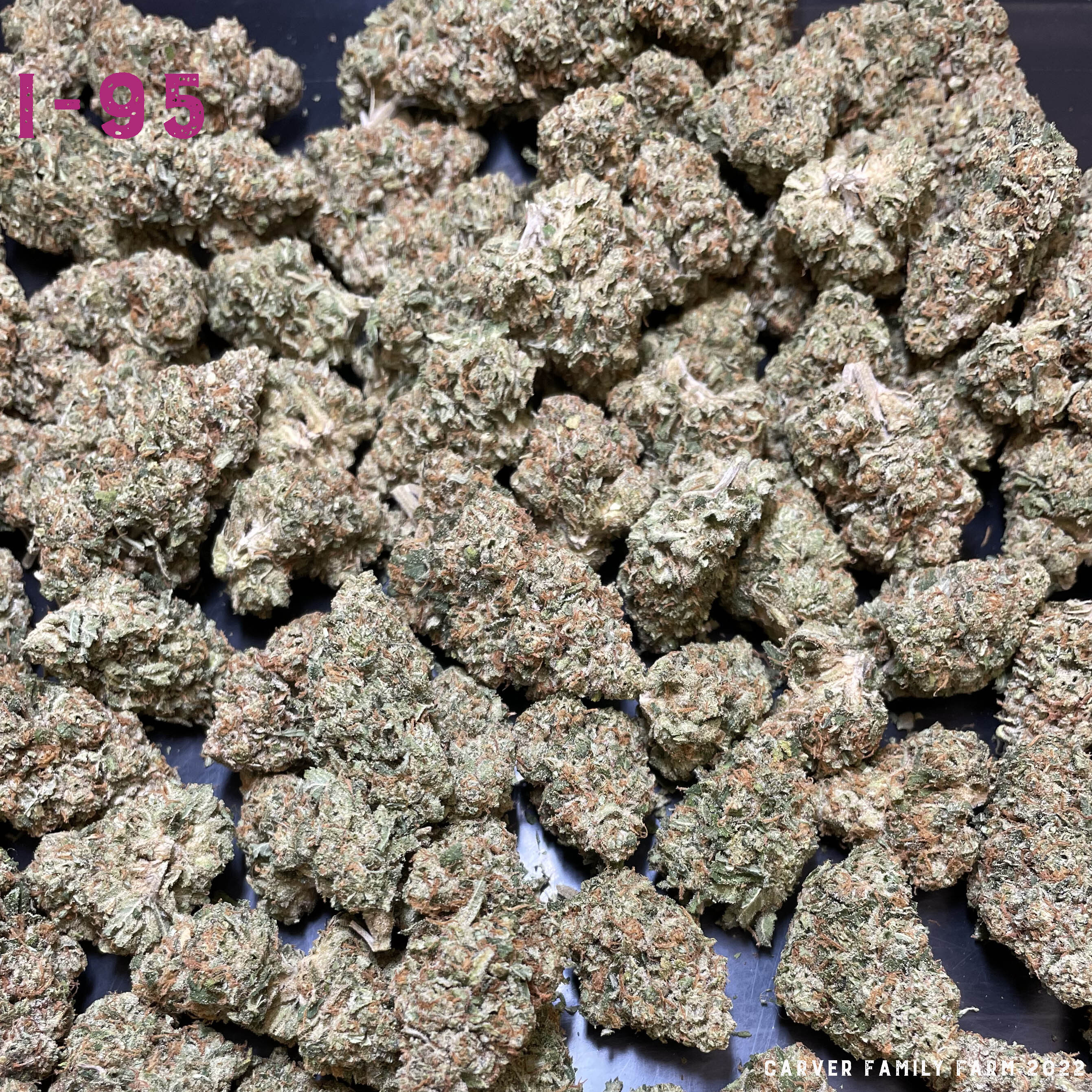 Shop I-95 | Carver Family Farm Dispensary Albuquerque, NM