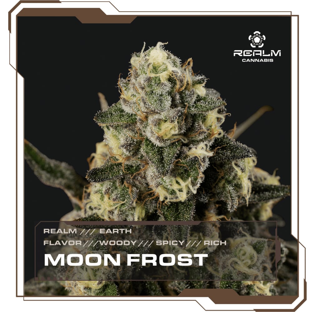 Realm - Moon Frost Top Cut Flower