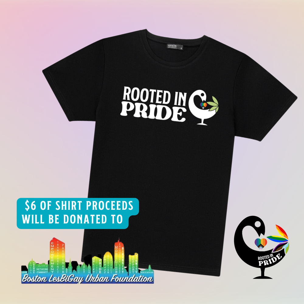 Shop Cannabis in Boston | Rooted In