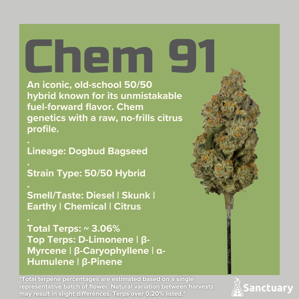 Chem 91