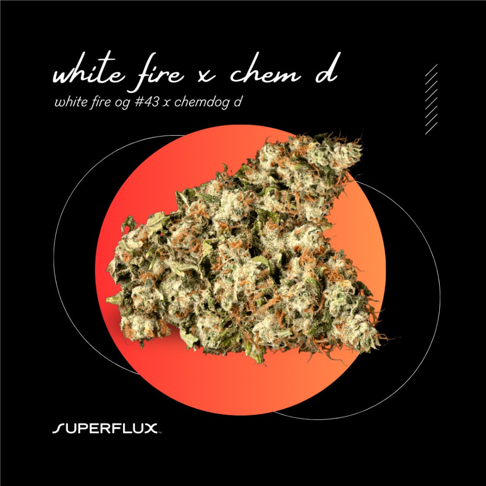 White Fire x Chem D