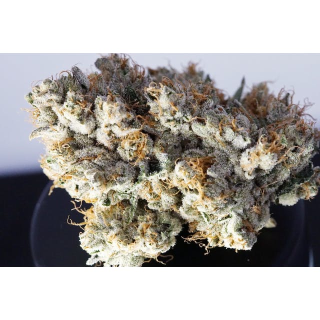 Kush Co. OG