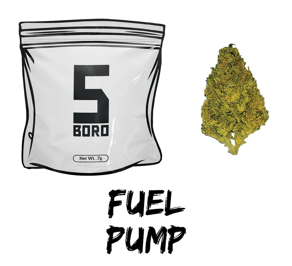 Fuel Pump [.7g]