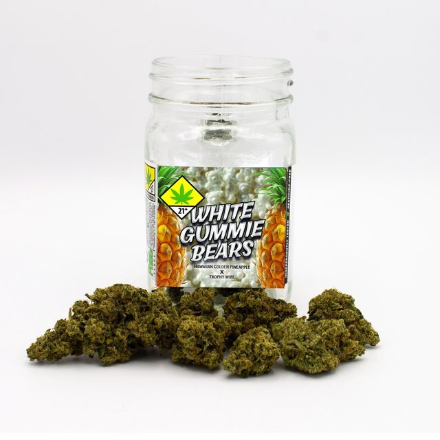 White Gummie Bears