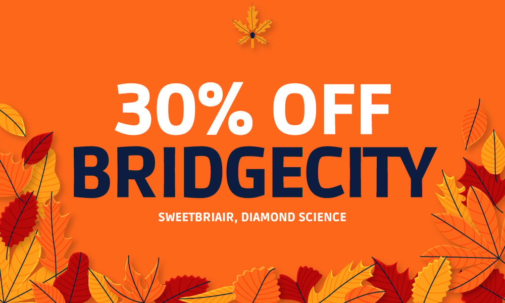 GET-30%-OFF-BRIDGE-CITY-COLLECTIVE-BRANDS