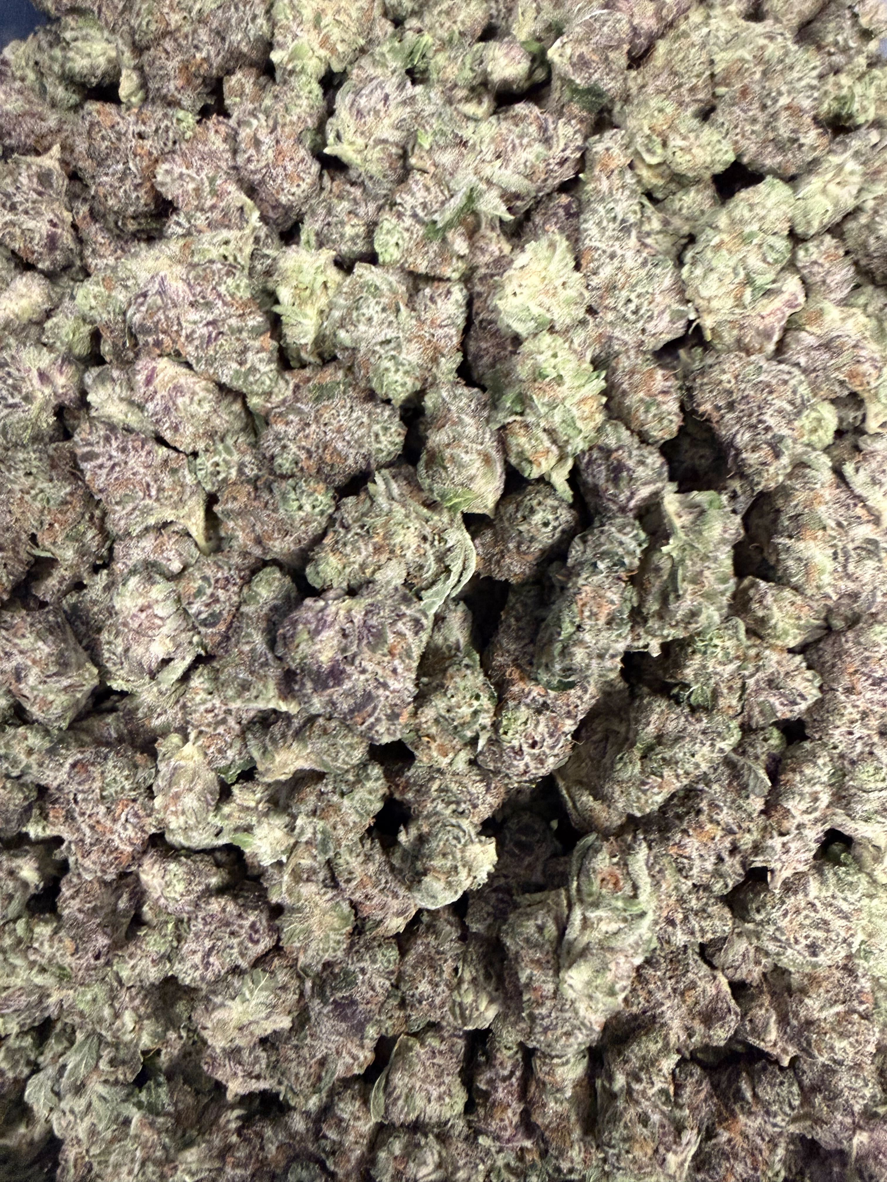 Cabernet Cookies | Exclusive Flower
