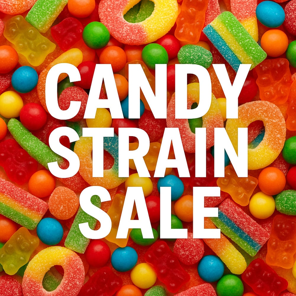 Candy Strain Sale! special photo