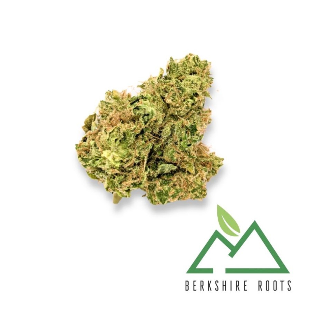 Berkshire Roots - Orange Chemeleon Flower