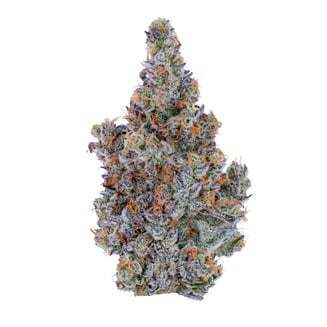 Lucid Blue