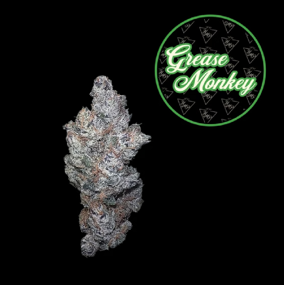 Grease Monkey Buds