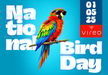 National Bird Day !Budtender Ian has made origami birds and Budtender Meg made birds nest cookies! Celebrating with 20% off ALL edibles, $25 & $35 Eighths plus a few other fun sales!