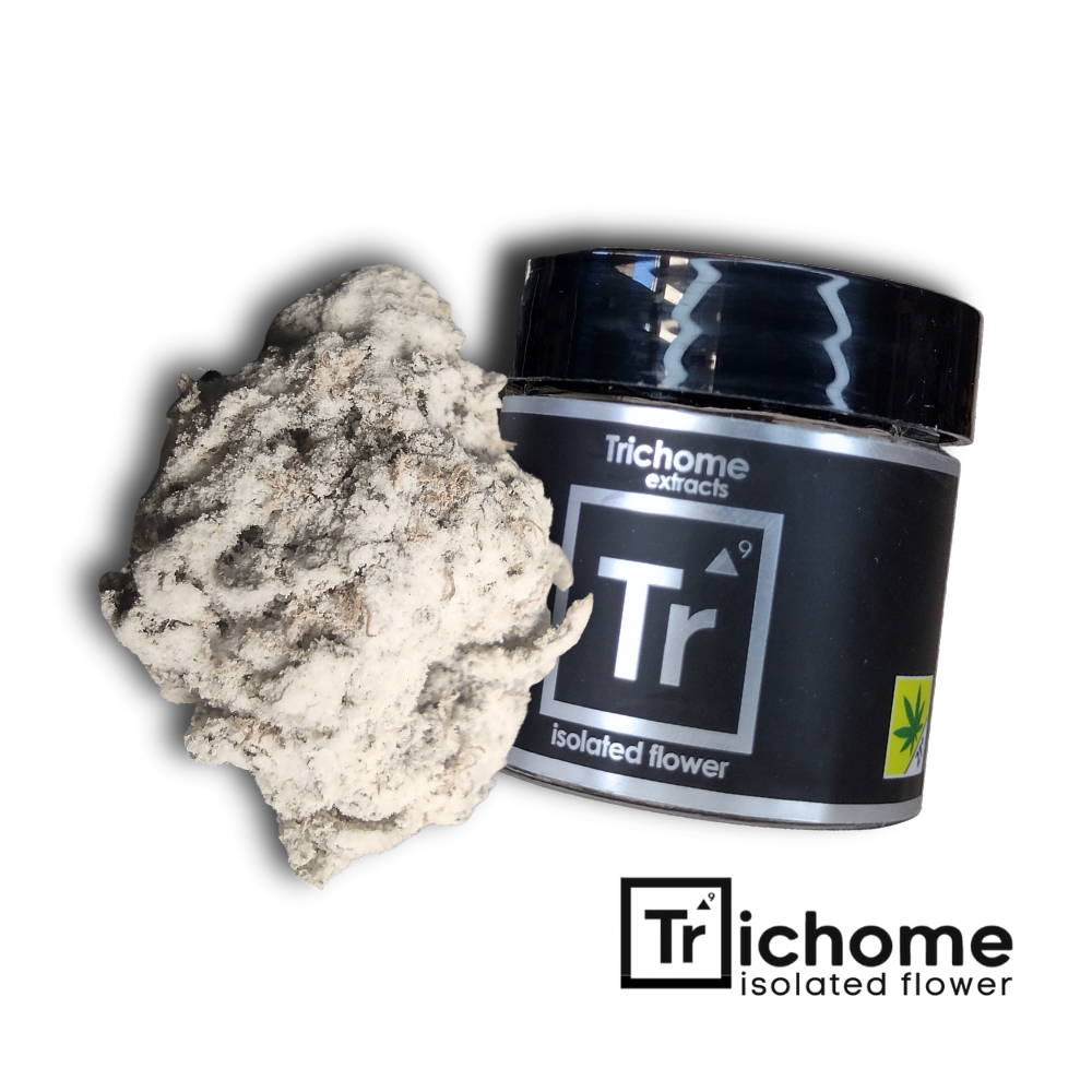 Shop Nine Lions | Remedy Tulalip Dispensary Quil Ceda Village, WA