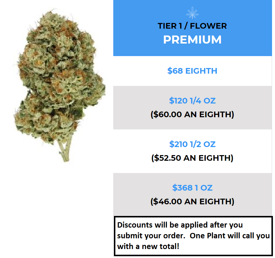 Chem D One Plant Jane