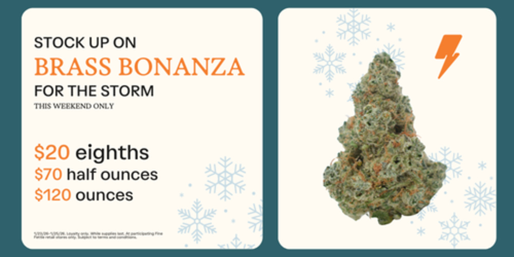 Comffy Brass Bonanza Eighths | 8+ units for $15 each special photo