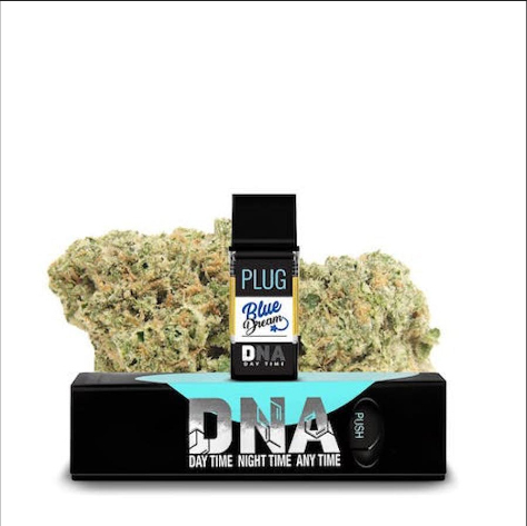 PLUGPLAY™ | PLUG™ Pod | Washington | Blue Dream | 1g