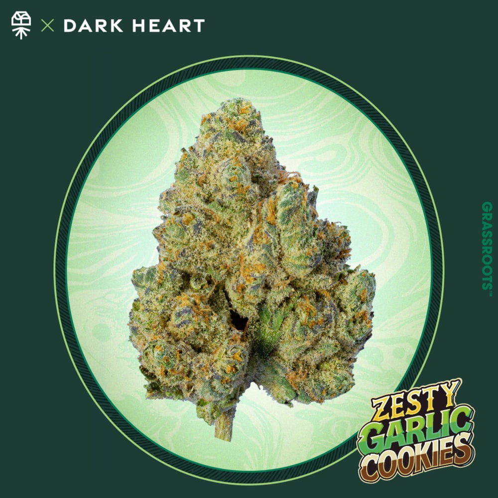 Zesty Garlic Cookies | Quarters |7g| - REC - 7g - Packed