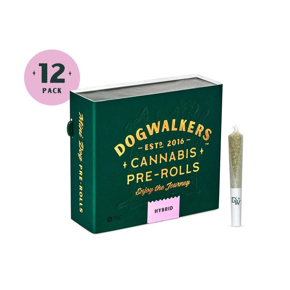 Dogwalkers - Runtz Pre-Roll 0.35g 12pk (4.2g)