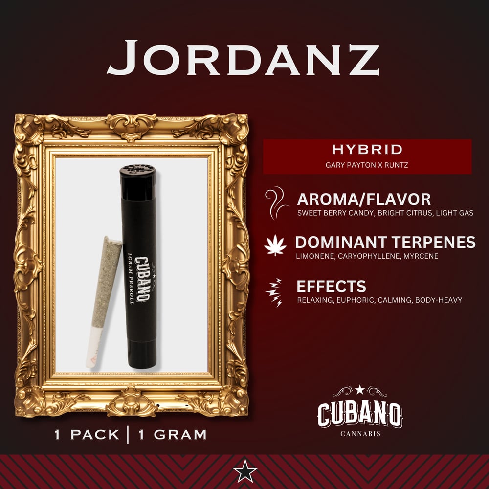 Jordanz [1g]