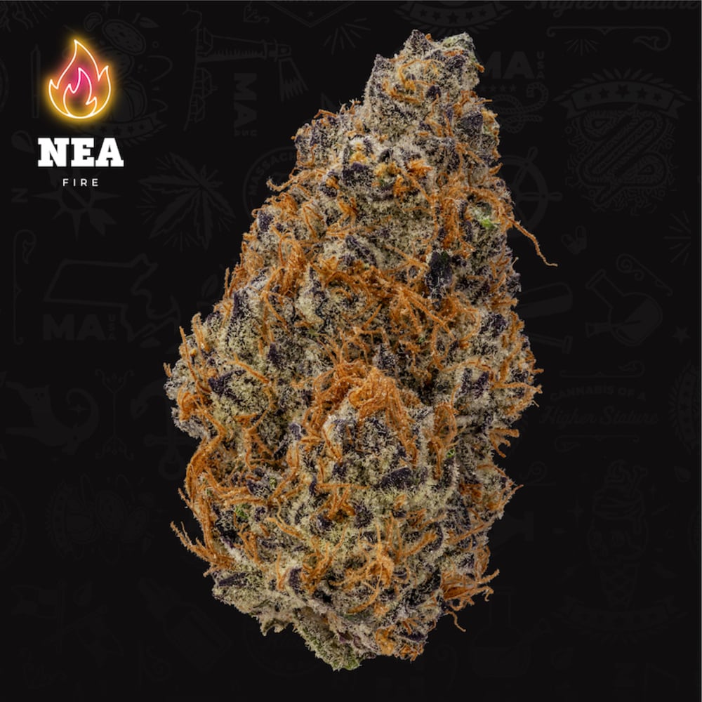 NEA Fire - Garlicane Smalls