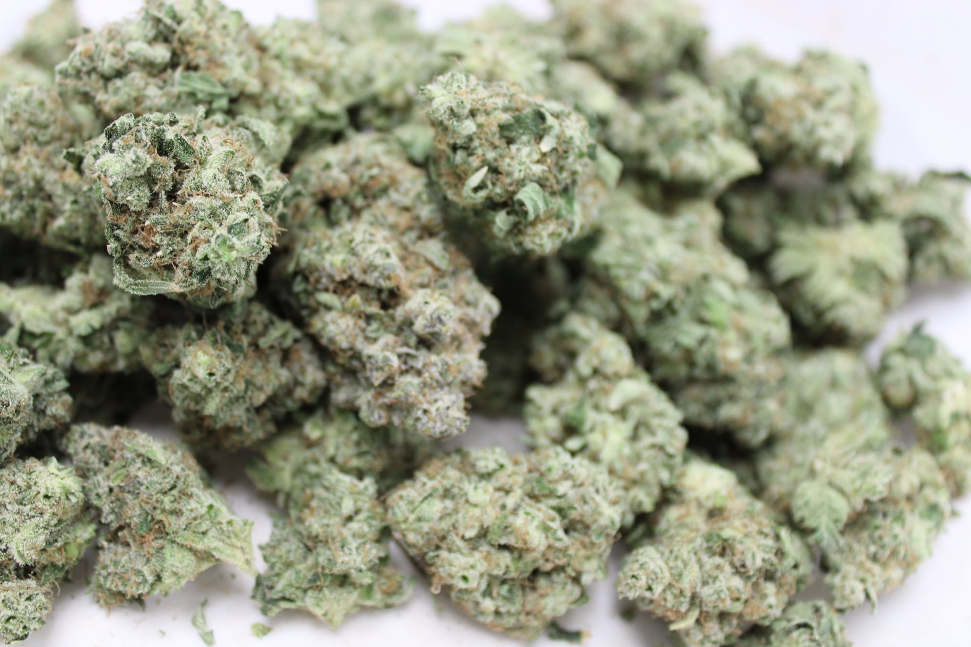 Dakota Green - Blackberry Kush - Bulk Flower - Indica