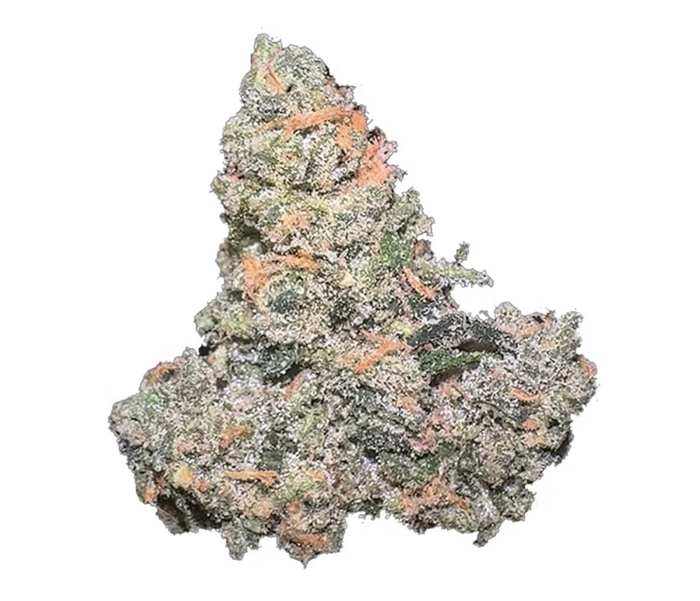 Purple Champagne Flower