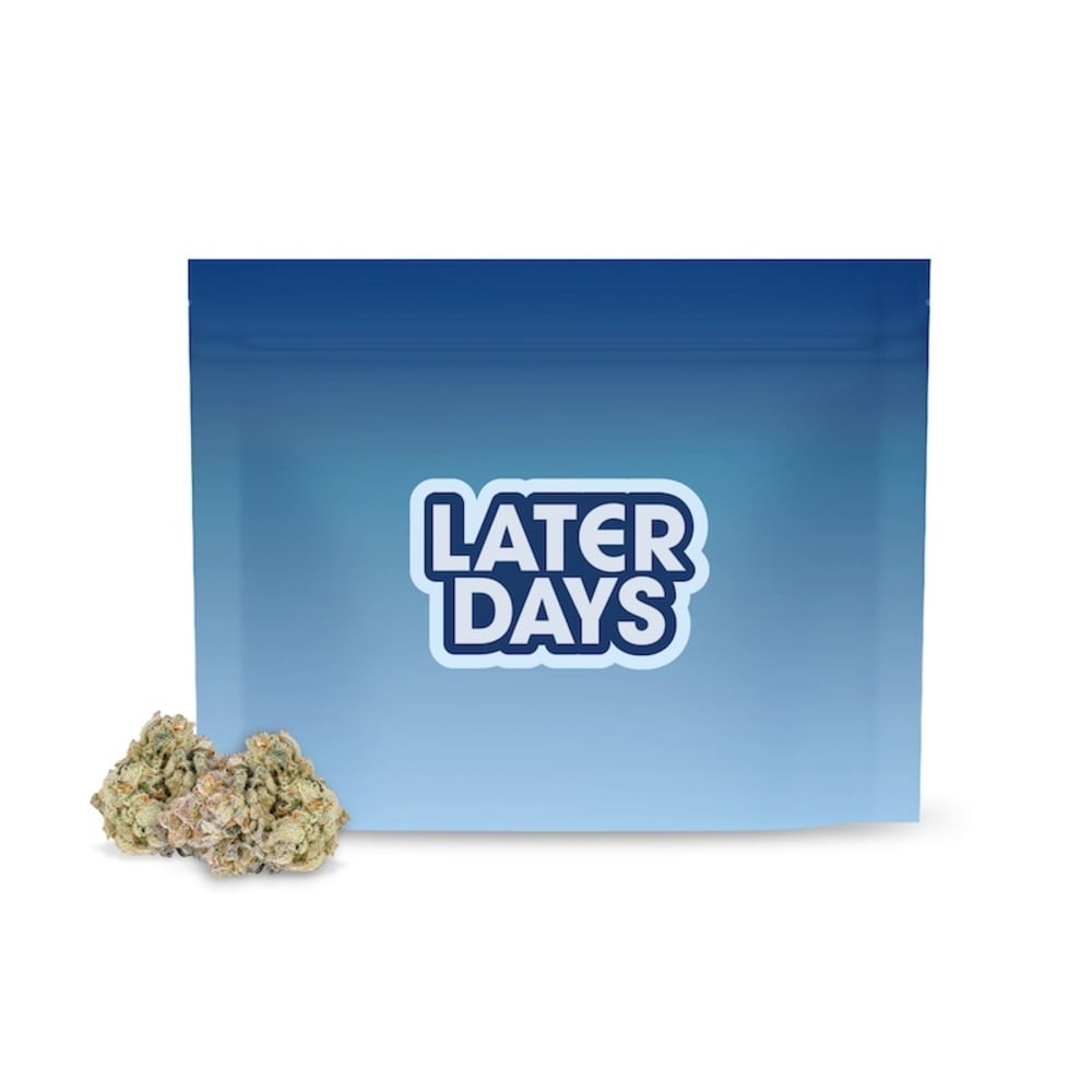 Later Days - Boston Rntz #5 (H) Flower Later Days - Boston Rntz #5 (H) Flower